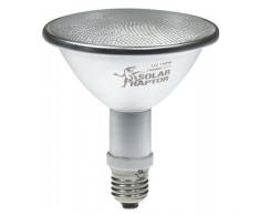 SolarRaptor HID-Spot-Strahler 70 W