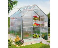 VITAVIA Gewächshaus »Calypso 3000«, BxT: 192x154 cm, aluminiumfarben