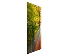Apalis 108645 Magnettafel Morning Light Memoboard Design Hoch Metall Magnet Pinnwand Motiv Wand Stahl Küche Büro, 78 x 37 cm