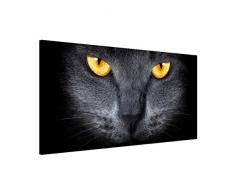 Apalis 108738 Magnettafel Cats Gaze Memoboard Design Quer Metall Magnet Pinnwand Motiv Wand Stahl Küche Büro, 37 x 78 cm