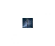 Konstsmide LED Baum, 90cm (120 LEDs)