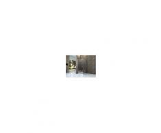 Alphabad Duschkabine CANTO 100 x 80 x 195 cm ohne Duschtasse