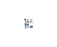 Whirlpool Wasserfilter SBS002 Whirlpool 481281729632 + Hygienefilter ANT001