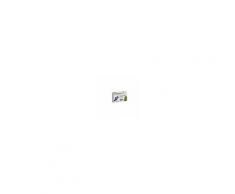 Whirlpool Luftfilter Whirlpool ANT001 / 481248048172 Hygiene-Filter