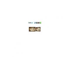 Magnettafel "no. 0133" Tiere Glas Memoboard Pferde Wasser Natur beig