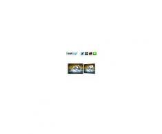 Magnettafel "no. 0134" Tiere Glas Memoboard Pferde Wasser Natur blau