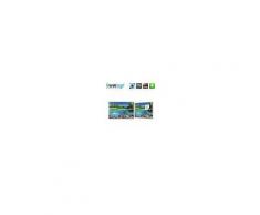 Magnettafel "no. 0017" Meer Glas Memoboard Wasser Korallen Delphin b