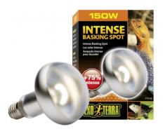 Exo Terra Intense Basking Spot Tageslicht-Wärmelampe 150W