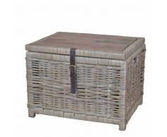 Couchtisch mit Truhe Grau Braun Rattan