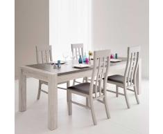 Essgruppe in Grau modern (5-teilig)