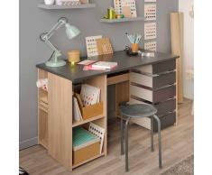 Jugendzimmer Schreibtisch in Eiche Grau