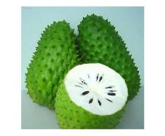 Egrow 20 Teile / paket Soursop Seed Graviola Guanabana Annona Muricata Garten Seltener Obstbaum Samen-Saatgut