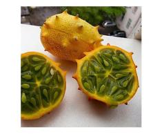 Egrow 20 Teile / paket Kiwano Melone Samen Afrikanische Gurkensamen Garten Gewächshaus Gemüse Obst Pflanzen-Saatgut
