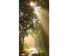 Fototapete »Sonnenstrahlen« bunt, L/B: 280cm / 150cm, FSC®-zertifiziert, rasch