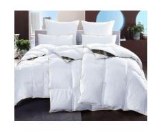 Set: Daunenbettdecken + Kopfkissen by Ribeco, 2x 135x200 + 2x 80x80cm, HANSE