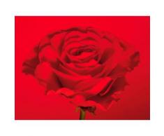 Fototapete bunt, L/B: 99cm / 99cm, »rote-Rose«, FSC®-zertifiziert, rasch