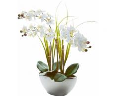 Kunstpflanze »Orchidee White Swing« weiß, yourhome