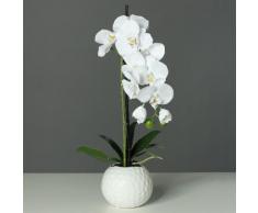 Kunstpflanze »Orchidee« beige, yourhome