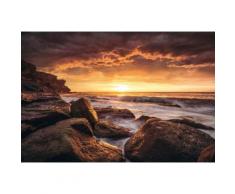 Fototapete braun, B/H, »Galbraith - Cape Solander«, yourhome