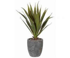Home affaire Kunstpflanze »Agave« grün
