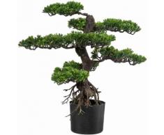 Home affaire Kunstpflanze grün, »Bonsai«