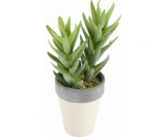 Kunstpflanze »Succulente in Topf 25/11 cm« grün, yourhome