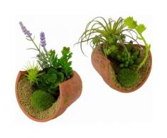 Home affaire Kunstpflanze »Succulente« grün