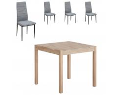 Essgruppe Ascona/Lejre (80x 80, 4 Stühle, grau)