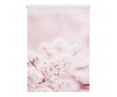 Klemmfix Rollo Kirschblüten (100x150, rosa-weiß)
