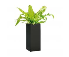 Probell Blumenkasten