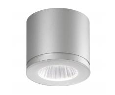 Newton 55 In -und Outdoor LED Deckenstrahler