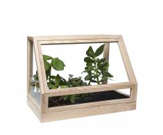 Greenhouse Mini-Gewächshaus natur