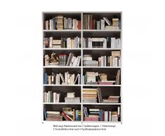 Bücherwand 2.1 Tür inkl. Rückwand