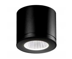 Newton 55 In- und Outdoor LED Deckenstrahler