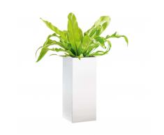 Probell Blumenkasten