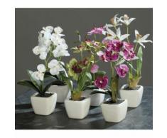 ROLLER Mini-Orchidee - Kunstpflanze - 5-fach sortiert