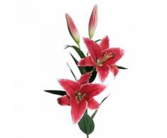 ROLLER Lilie - Kunstblume - fuchsia