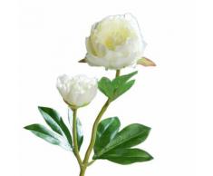 ROLLER Pfingstrose-Päonie - Kunstblume - creme