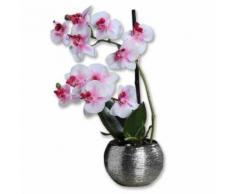 ROLLER Orchidee-Phalaenopis - Kunstblume - pink-weiß - 30 cm
