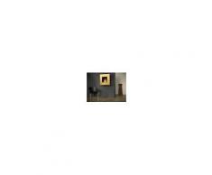 muenkel design square fire 75 Bio Wandkamin