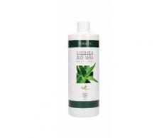 Bioearth Shampoo-Dusche Aloe Vera Cleanser 500 ml
