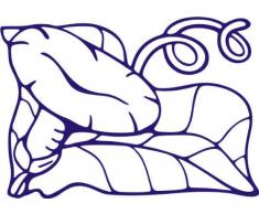 INDIGOS/Wandaufkleber-e184 hübsche Trompetenblume 96x67 cm- blau, Vinyl, 96 x 67 x 1 cm