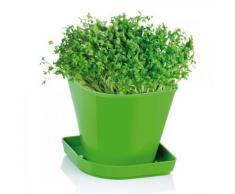 Tescoma 899076 Kit Kräuter für Anbau Sense Echte Brunnenkresse