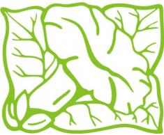 INDIGOS/Wandaufkleber-e183 hübsche Trompetenblume 40x32 cm-gelbgrün, Vinyl, lindgrün, 40 x 32 x 1 cm