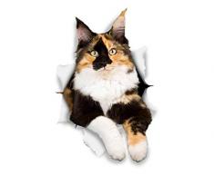 Winston & Bear 3D Katze Aufkleber - 2er-Pack - Kattun Aufkleber für Wand, Kühlschrank Calico Cat Aufkleber