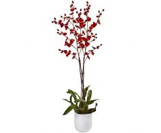 Nearly Natural Fast Natur Dancing Orchidee mit Weiß Glas Vase