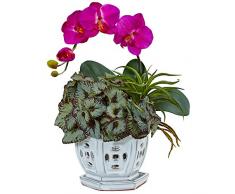 Nearly Natural Fast Natur Mini Phalaenopsis-Arrangement, Orchidee