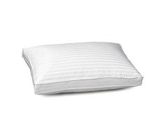Blue Ridge Home Fashions Doppelbezug Seitenschläferkissen aus Seide/Baumwolle, Fadenzahl 500, gestreift Queen weiß