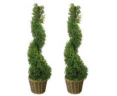 Admired By Nature Buchsbaum, spiralförmig, 61 x 91 cm, in Kunststofftopf C.abnt002b-ntrl-2