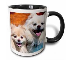 3dRose USA Kalifornien, Pomeranians Tisch-Bank aus Holz – mit Becher, Keramik, Schwarz, 10.16 cm x 7,62 x-Uhr